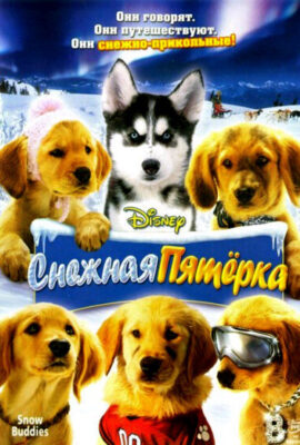 Снежная пятерка